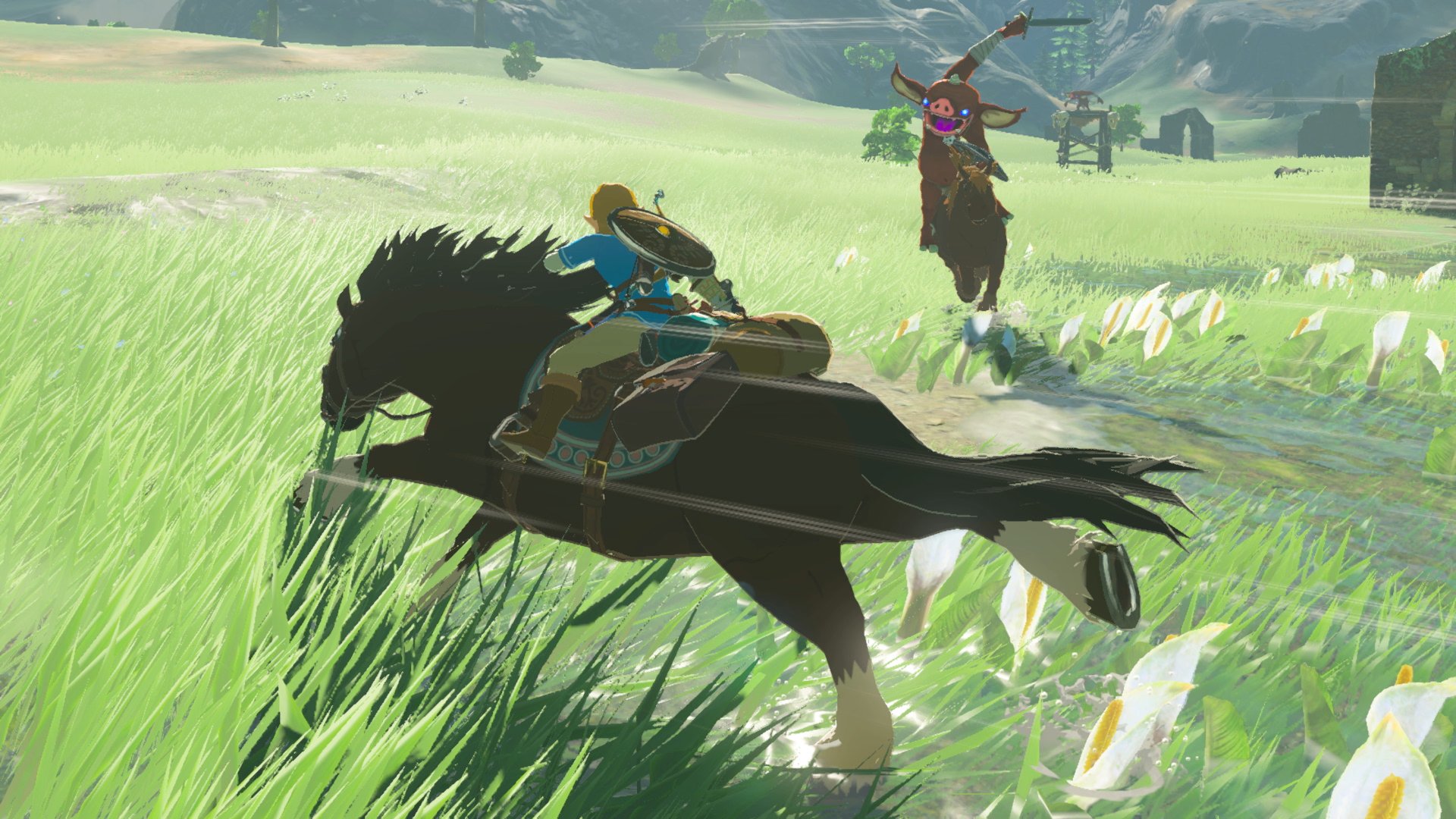 zelda06